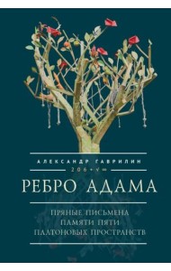 Ребро Адама.Пряные письмена памяти пяти Платоновых пространств