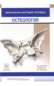 Визуальная анатомия человека. Остеология (карточки 51 шт.)