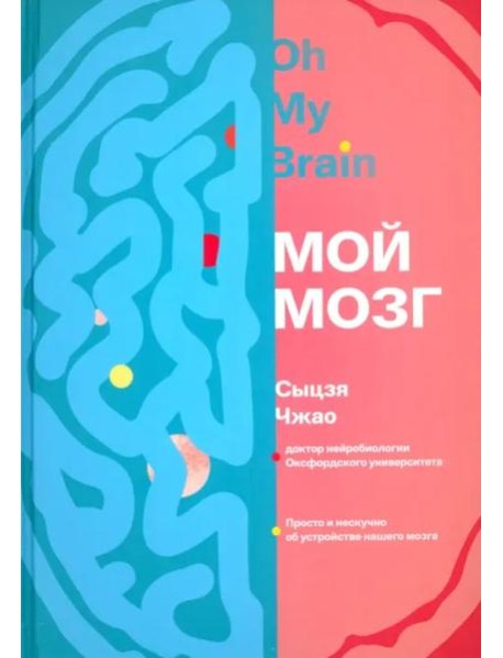 Мой мозг