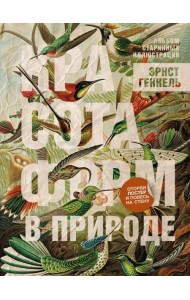 Красота форм в природе. Альбом старинных иллюстраций