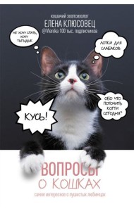 Вопросы о кошках. Самое интересное о пушистых любимцах