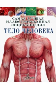 Тело человека