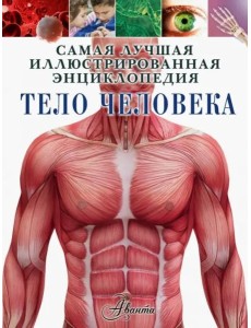 Тело человека