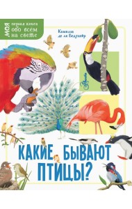 Какие бывают птицы?