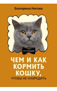 Чем и как кормить кошку, чтобы не навредить