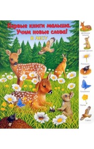 В лесу. Виммельбух