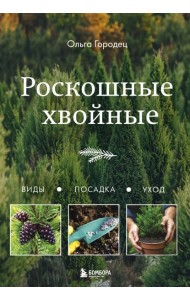 Роскошные хвойные. Виды, посадка, уход
