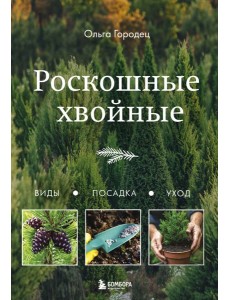 Роскошные хвойные. Виды, посадка, уход
