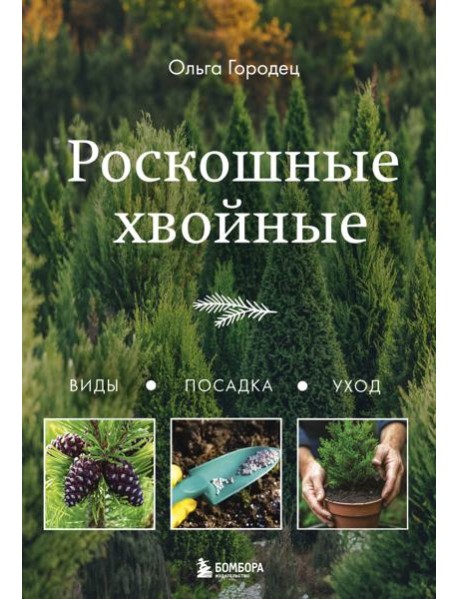 Роскошные хвойные. Виды, посадка, уход