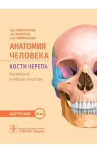 Анатомия человека. Кости черепа. Карточки + кольцо для стяжки карточек: наглядное учебное пособие