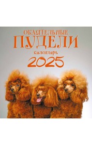 Обаятельные пудели. Календарь настенный на 2025 год (300х300 мм)
