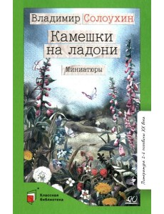 Камешки на ладони: миниатюры
