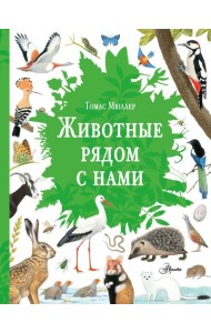 Животные рядом с нами