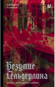 Безумие Гельдерлина. Жизнь, поделенная надвое