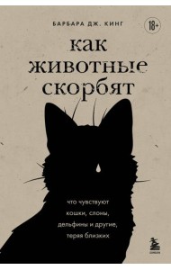Как животные скорбят. Что чувствуют кошки, слоны, дельфины и другие, теряя близких