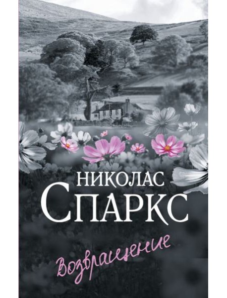 Возвращение: роман