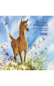 Лесные тропинки. Познавательный календарь 2026