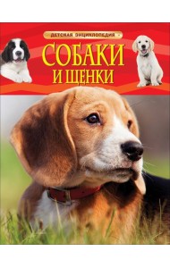 Собаки и щенки