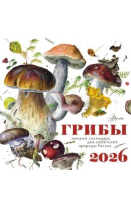 Грибы. Календарь на 2026 год