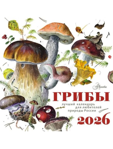 Грибы. Календарь на 2026 год