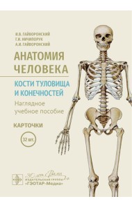 Анатомия человека. Кости туловища и конечностей. Карточки: Наглядное учебное пособие