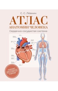 Атлас анатомии человека. Сердечно-сосудистая система