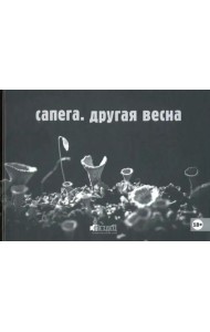 Другая весна