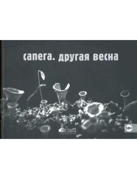 Другая весна