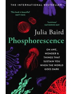 Phosphorescence. On Awe, Wonder & Things