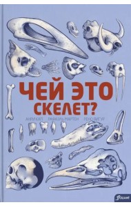 Чей это скелет? (с клапанами)