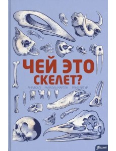 Чей это скелет? (с клапанами)