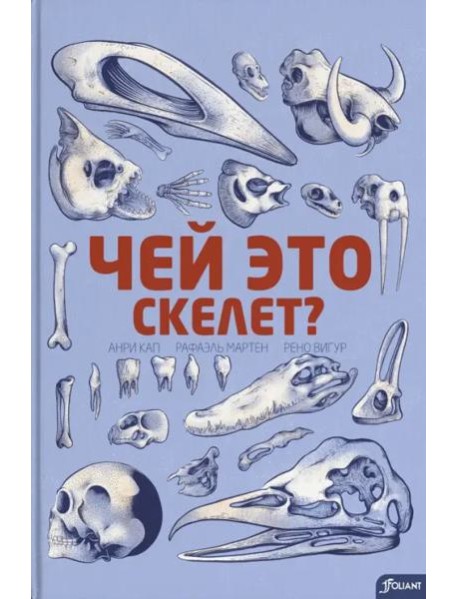 Чей это скелет? (с клапанами)