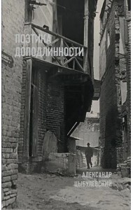 Поэтика доподлинности: Критическая проза. Записные книжки. Фотографии