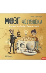 Мозг человека