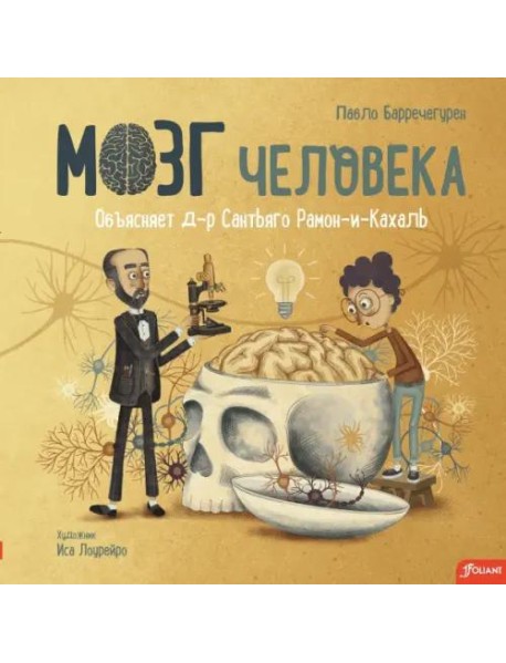 Мозг человека