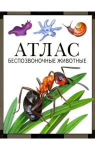 Беспозвоночные животные: атлас (3 изд., стереот.)