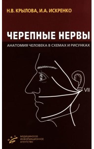 Черепные нервы: Анатомия человека в схемах и рисунках: Атлас-пособие. 6-е изд