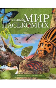 Удивительный мир насекомых