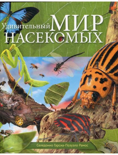 Удивительный мир насекомых