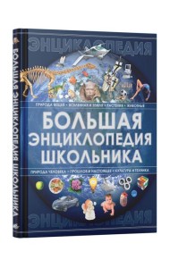 Большая энциклопедия школьника