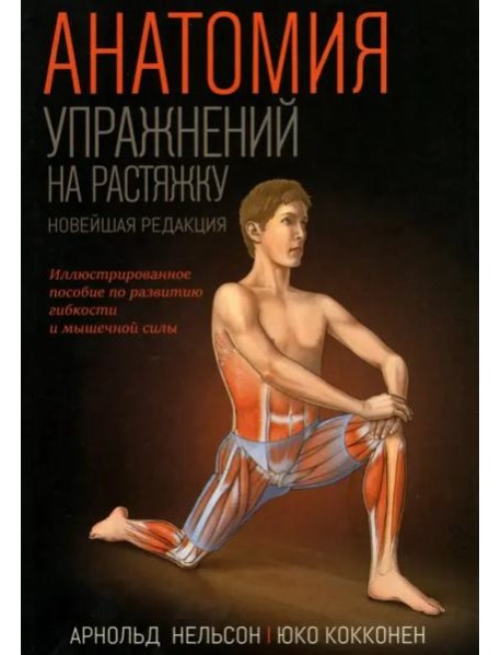 Анатомия упражнений на растяжку