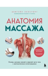 Анатомия массажа. Основы массажа нижней и верхней части тела с анатомическими иллюстрациями
