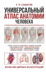 Универсальный атлас анатомии человека с цветными иллюстрациями