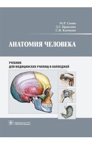 Анатомия человека: учебник для медицинских училищ и колледжей