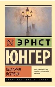 Опасная встреча: роман