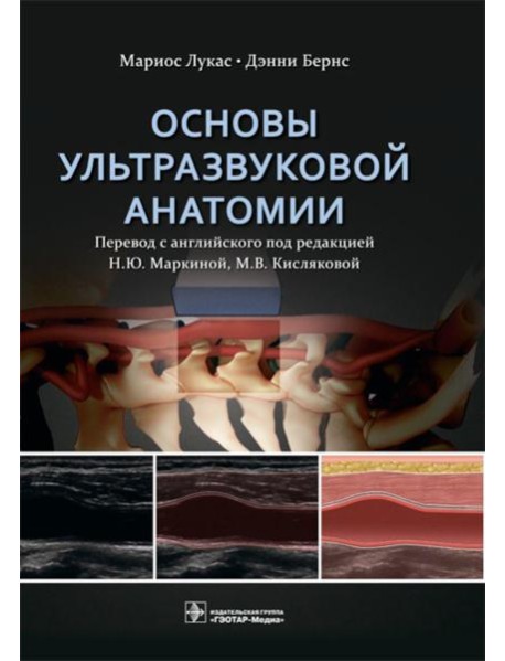Основы ультразвуковой анатомии