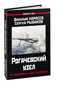 Рогачевский узел. От обороны к наступлению