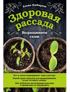 Здоровая рассада. Выращиваем сами