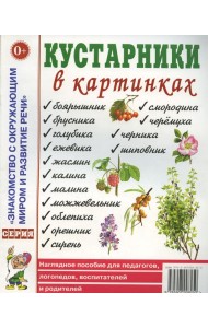 Кустарники в картинках Наглядное пособие для педагогов, логопедов, воспитателей и родителей