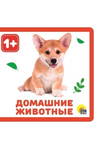 КНИЖКИ НА ПЕНЕ. ДОМАШНИЕ ЖИВОТНЫЕ